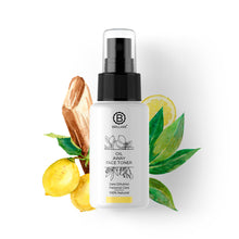 Load image into Gallery viewer, Oil Away Face Toner For Oily, Acne Prone Skin
